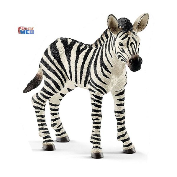 Schleich® WILD LIFE Safaritiere 14811 Zebra Fohlen