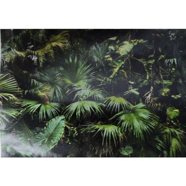Artgeist Fototapete "Dschungel" 147 x 105cm