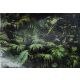 Artgeist Fototapete "Dschungel" 147 x 105cm