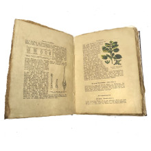 Phänologie der Pflanzen - Antikes Buch