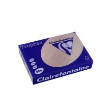 Clairefontaine Kopierpapier Trophee 1787C chamois A4 80g...